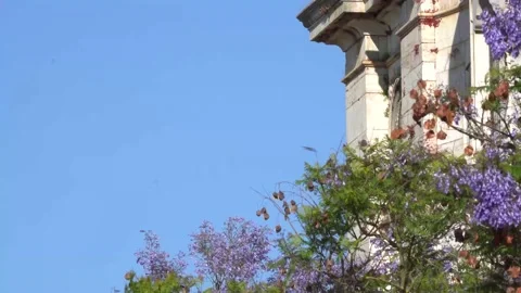 Barn Swallows (Hirundo rustica) flying over an old stone church Video stock 136917772
