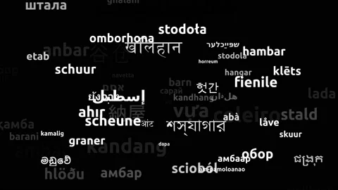 Barn Translated in 68 Worldwide Languages Endless Looping 3d Zooming Wordclou Video stock 145210444