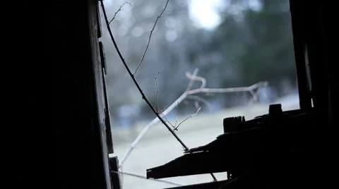 Barn Window Video stock 6793244