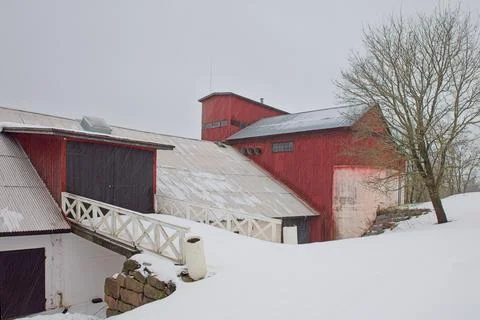 Barn in winter. Stock Photos