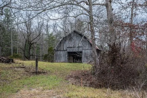A barn in the woods Foto stock