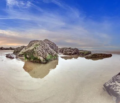 Barnacle covered rocks reflected in shallow water on sandy beach Stock Photos