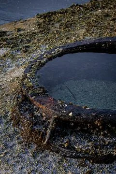 Barnacle Encrusted Ring Tidal Pool Marine Growth Coastal Beach Foto stock
