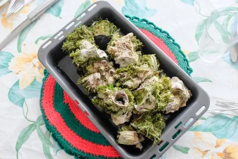 Barnacle Stock Photos