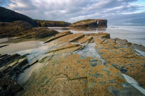 Barnacles add texture to the rocks of the famous As Catedrais beach Фото