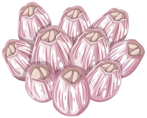 Barnacles in cartoon style on white background 스톡 일러스트