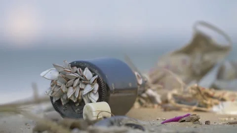 Barnacles on a Glass Bottle. High quality video footage 스톡 동영상 167544590