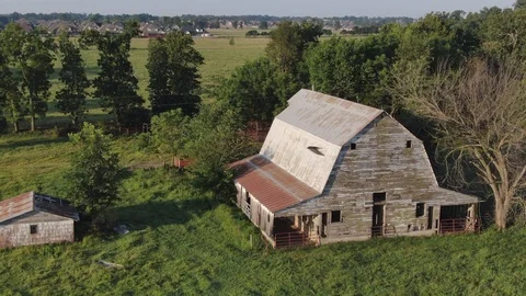 Barnacus Delapitus Stock Footage 113147056