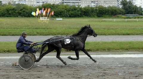 BARNAUL - AUGUST 22 Horse racing. Horse and rider on a horse race at the trac Fotos de archivo