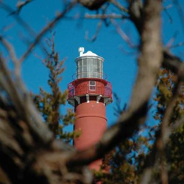 Barnegat Light in the Trees Photos