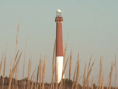 BARNEGAT LIGHTHOUSE IN THE BEACH REEDS Stock Footage 76584814