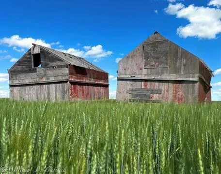 Barns in the Field Stock Photos