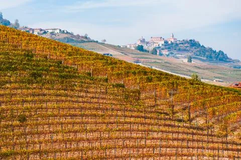 Barolo wine Stock Photos