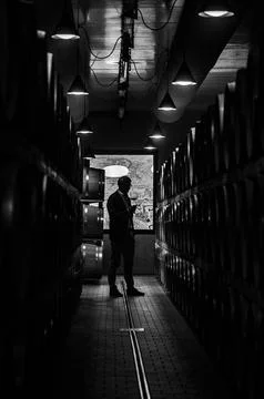 Barolo wine Stock Photos