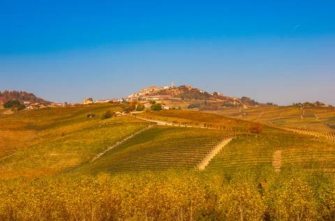 Barolo wine Stock Photos