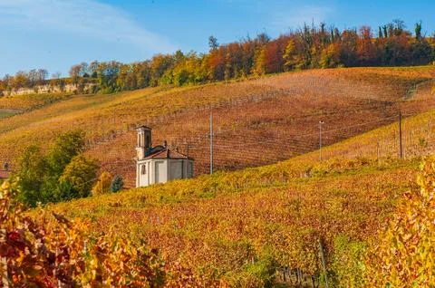 Barolo wine Stock Photos