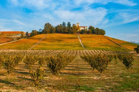 Barolo wine Stock Photos