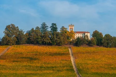 Barolo wine Stock Photos