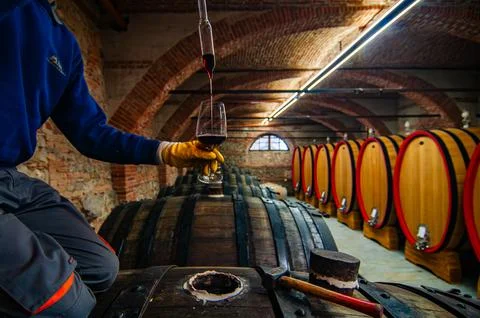 Barolo wine Foto stock