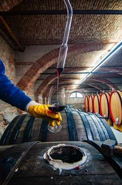 Barolo wine Stock Photos