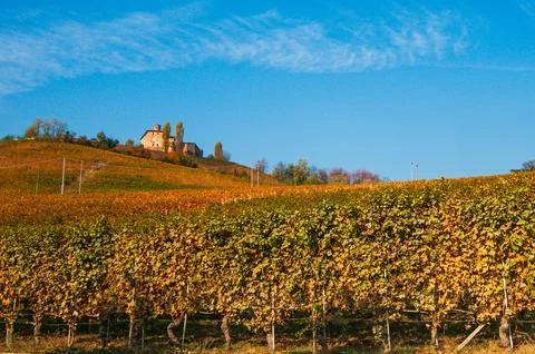 Barolo wine Stock Photos
