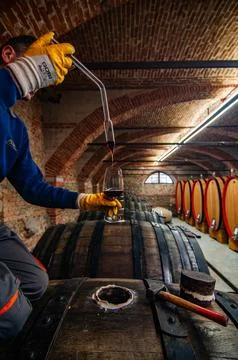 Barolo wine Foto stock