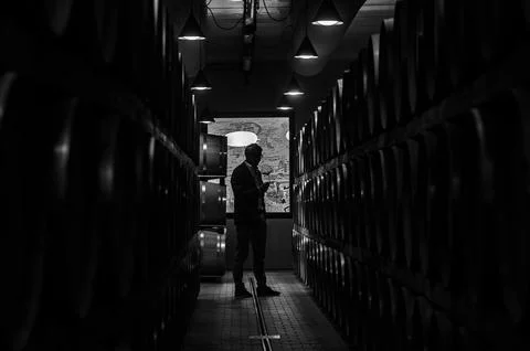 Barolo wine Stock Photos