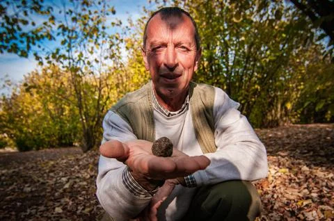 Barolo wine Stock Photos
