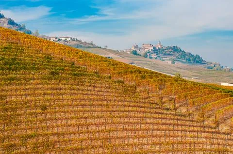 Barolo wine Foto stock