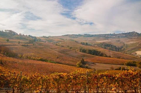 Barolo wine Stock Photos