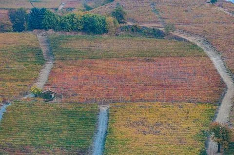 Barolo wine Stock Photos