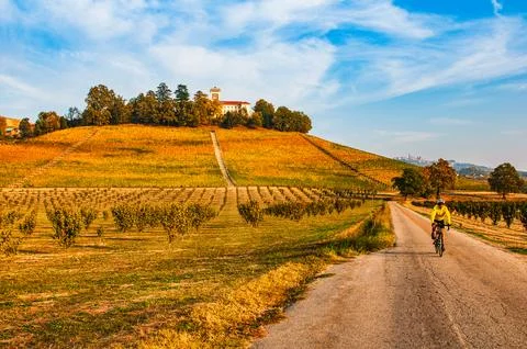 Barolo wine Foto stock