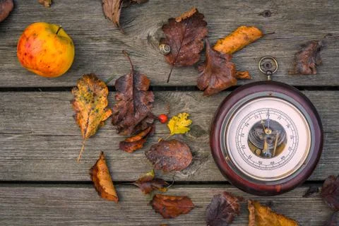 Barometer in the autumn Stock Photos