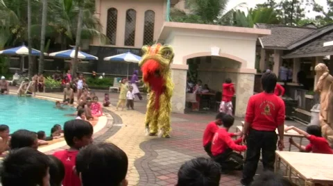 Barongsai Tiger Dance Performance Stock Footage 706448