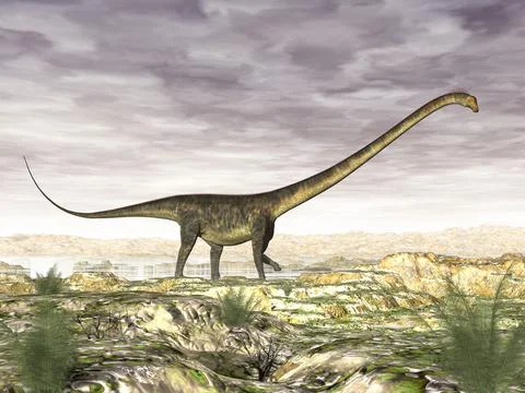 Barosaurus dinosaur in the desert - 3D render Stock Illustration