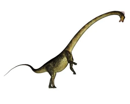 Barosaurus dinosaur rearing up - 3D render Stock Illustration