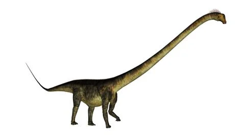 Barosaurus dinosaur walk - 3D render Stock Illustration