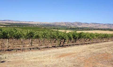 Barossa Valley, Australia Stock Photos