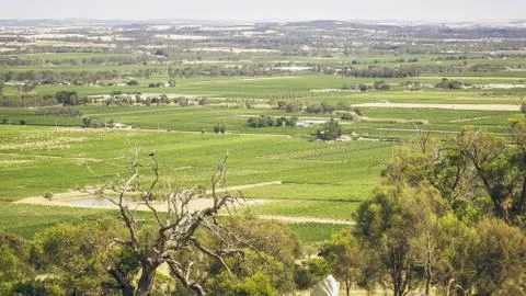 Barossa Valley Stock Photos