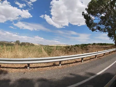 Barossa Valley Vineyard Landscape from Moving Car, South Australia Stock Footage 343473716