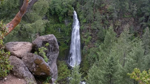 Barr Creek Falls, Prospect State Park, Oregon Stock Footage 108884151