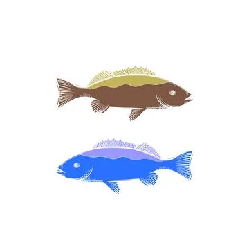 Barracuda fish in the sea vector logo and illustration Stock Illustration