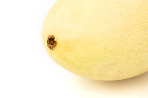 Barracuda mango Foto stock