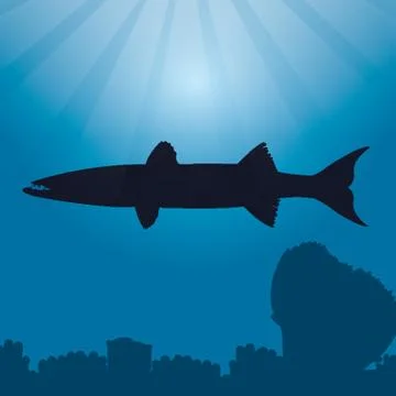 Barracuda Silhouette Stock-Illustration