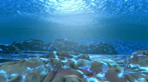 Barracudas 2 Stock Footage 20534693