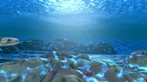 Barracudas Stock Footage 18376238