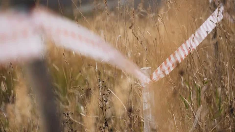 The barrage develops in the wind. around dry the grasses. Protected area. Video stock 118710572