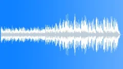 Barramundi 1Stock Music