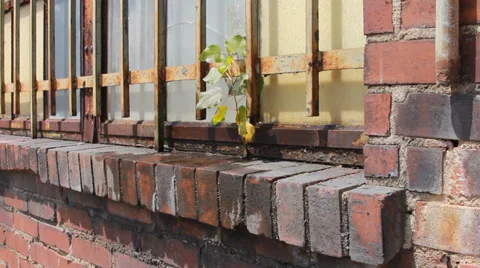 Barred window Video stock 33756882