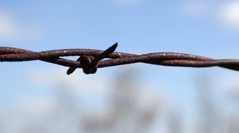 Barred Wire Closeup Stock Footage 47945891